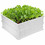 Costway 65810974 48 Inch Raised Garden Bed Planter for Flower Vegetables Patio-White