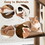 Costway 73914652 53 Inch Cat Tree with Condo and Swing Tunnel-Brown