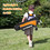 Costway 07164238 Complete Golf Club Set for Children Age 8-10-Orange