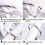 MUKA 12 Pcs Curtain Rings with Clips 2 Inch Metal Movable Clasp Shower Curtain Window Hardware for Bedroom Home Decor