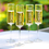 Cathy's Concepts CB3668-4 Celebrate - Contemporary Champagne Flutes (Set of 4)