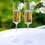 Cathy's Concepts MRS3668 Mrs. & Mrs. Contemporary Champagne Flutes