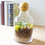 Cathy's Concepts SUC-1393 56 oz. Glass Succulent Terrarium with Wood Ball