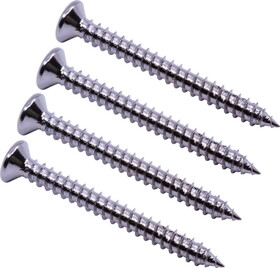 CE Distribution P-H707-SCREWS Screw - Oval Head, #8 x 1.5", for Neck Mounting
