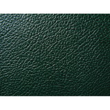 Generic S-G408 Tolex - British Emerald Green Bronco / Levant, 54" Wide