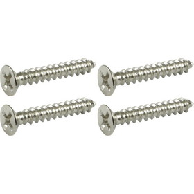 CE Distribution S-H100 Screw - 1&quot;, Flat top Phillips, Stainless Steel
