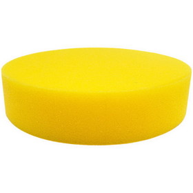Champion Sports FD1 9 Inch Rounded Edge Foam Disc