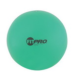 Champion Sports FP42 42Cm Fitpro Training/Exercise Ball
