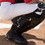 Champion Sports LGKSA Adult Catcher'S Knee Supports