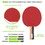 Champion Sports PN14 7 Ply Pips In Rubber Face Table Tennis Paddle