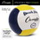 Champion Sports VB6N Beach Volleyball, Price/ea