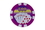 CHH 2600MG-PRPL 25 PC Las Vegas Magnetic Chip - Purple