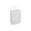 DURO BAG MFG 84641 Shopping Bag With Paper Twist Handles 10" x 5" x 13", 60# Capacity, White, Virgin Paper, Missy, (250/CS), Price/Case