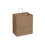 Duro Bag 87145 Dubl Life 14" x 10" x 15-3/4", 70#BW Capacity, Kraft Paper, Super Royal, Shopping Bag With Paper Twist Handles, Recycled (200/CS), Price/Case