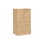 Duro Bag 18420 Dubl Life Tiger Bag 20# - 8-1/4" x 5-5/16" x 16-1/8", 40#BW Capacity, Natural, Kraft Paper, SOS Bag Recycled (500/CS)