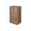 Duro Bag 70221 Dubl Life 20# SH - 8-1/4" x 5-5/16" x 13-3/8", 50#BW Capacity, Kraft Paper, Heavy Duty, SOS Bag, Recycled (400/CS), Price/Pack