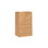 Duro Bag 18421 Dubl Life 20#SH - 8-1/4" x 5-15/16" x 13-3/8", 40#BW Capacity, Natural, Kraft Paper, SOS Bag Recycled (500/CS), Price/Bundle