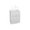 Duro Bag 84598 Shopping Bag 8" x 4.5" x 10-1/4", 60#BW Capacity, White, Virgin Paper, "Tempo" Shopping Bag W/ Paper Twist Handles (250/CS), Price/Case