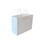 Flexo WK-160612-PLAIN Shopping Bag w/Handle - 16" x 6" x 12", White, 65# BW - 250/CS, Price/Case