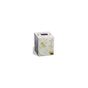 Kruger 08906 Embassy 8" x 8.6" Sheet, 2-Ply, White, Supreme, Facial Tissue (36 per Case - 36/100CT)