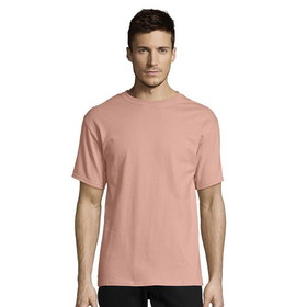 Hanes 5250 100 % Authentic "Tagless" T