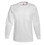 Hanes 5596 Tagless Pocket Long Sleeve T-shirt, Price/each