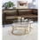 ACME Shanish Nesting Table Set (2pc Pk) in Faux Marble & Gold 81110