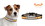 Tennessee Volunteers Classic Leather Toy Football Collar