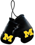 Michigan Wolverines Boxing Gloves Mini CO