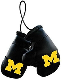 Michigan Wolverines Boxing Gloves Mini CO