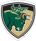 South Florida Bulls Magnet Car Style 12 Inch CO
