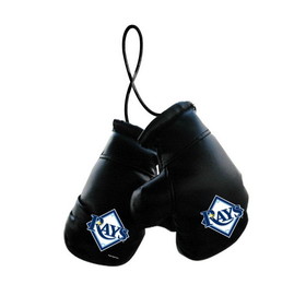 Tampa Bay Rays Boxing Gloves Mini CO