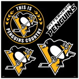 Pittsburgh Penguins Magnet Kit 4 Piece CO