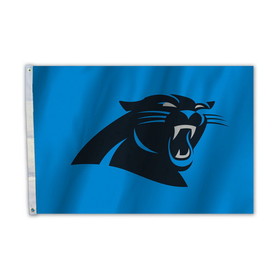 Carolina Panthers Flag 2x3 CO
