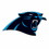 Carolina Panthers Magnet Car Style 12 Inch Logo Design CO