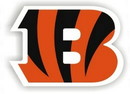 Cincinnati Bengals 12