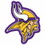 Minnesota Vikings Logo on the GoGo