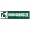 Wincraft Michigan State Spartans Bumper Sticker