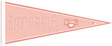 Wincraft pennant pink