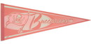 Tampa Bay Buccaneers Pennant - Pink