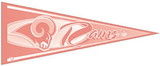 Wincraft pennant 12x30 pink classic style