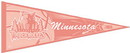 Minnesota Timberwolves Pennant - Pink