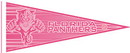 Florida Panthers Pennant - Pink