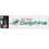 Miami Dolphins Decal 3x10 Perfect Cut Wordmark Color