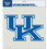 Kentucky Wildcats Decal 8x8 Die Cut Color