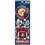 Florida State Seminoles Decal 4x11 Die Cut Prismatic Style New Logo