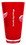 Detroit Red Wings Glass 20oz Pint Plastic Insulated CO