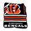 Cincinnati Bengals Blanket 50x60 Raschel Throw