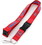 Aminco Detroit Pistons Lanyard Red
