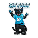 Carolina Panthers Pennant Shape Cut Mascot Design